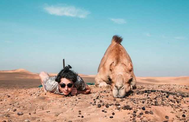 Resting in the Sands: Man and Camel under desert skies